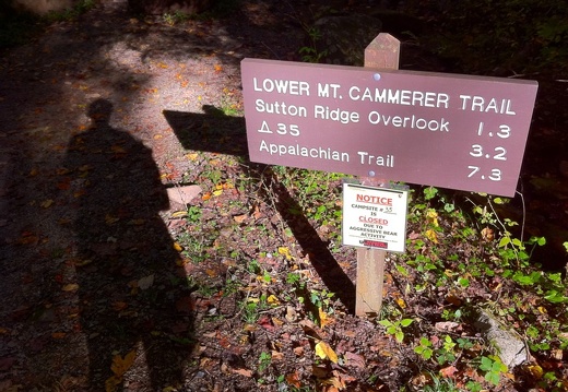 Lower Mt. Cammerer